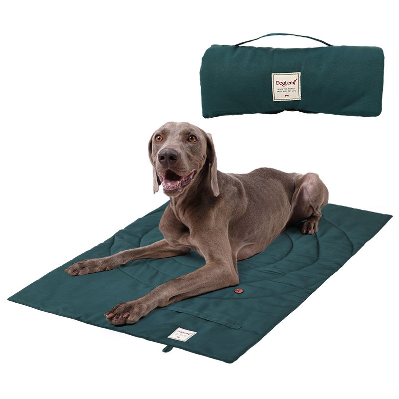 Camping Cot Foldable - Polymères portables pliables pour animaux de